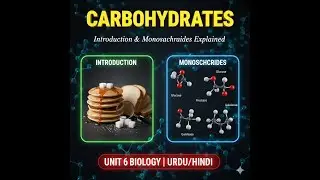 Carbohydrates | Introduction & Monosaccharides Explained | Unit 6 Biology Urdu/Hindi