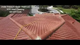 HOA Roof Cleaning Service  - 561-971-0235 
