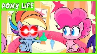 My Little Pony: Pony Life 💖 NEW 💖 Rainbow Dash Loyalty Moment - Kindness Day | MLP Pony Life