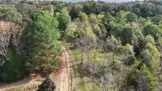 Drone Flight - Murray Listing