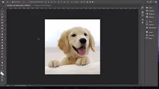 Electronic Imaging: Setting up your Photoshop file for online/web advertisements