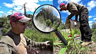PLACER GOLD! The search continues!