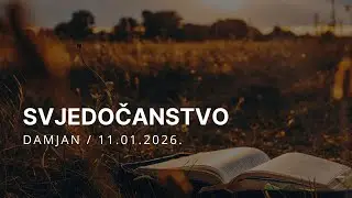 Svjedočanstvo - Damjan