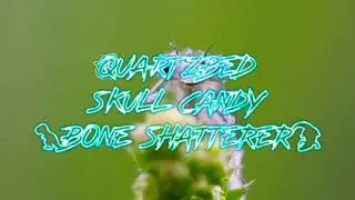 Bone Shatterer by Quartzbed