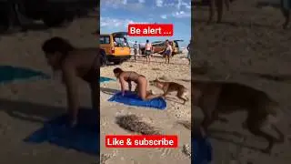 BeAlert#pak#cricket#match#pakistan#news#viral#india#comedy#shorts#short#parliament#modi