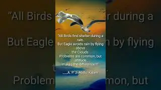 All Birds find shelter during rain (A P J  Abdul Kalam)