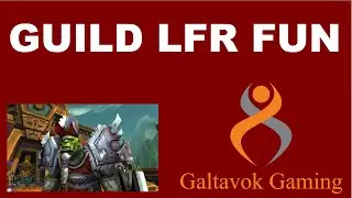 Guild LFR run
