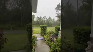 🌧️ Stormy Florida Day Nature Porch View