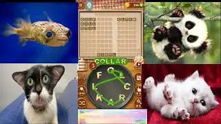 {Word Cookies} Breathtaking Chef Thyme levels - level 1 to 20 (celina mak official)