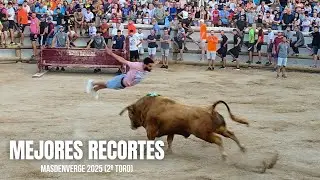 🔥MOMENTOS &Eacute;PICOS TORRO CERRIL #2🔥 | Masdenverge (Tarragona) | PE&Ntilde;A CHE BOU | 30/07/2025 | 4K