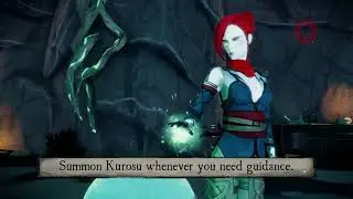 Aragami Nightfall DLC no-hit/no damage run | Any %