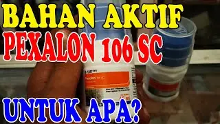 Bahan Aktif PEXALON 106 SC Dan Kegunaanya-Anti Wereng