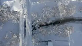 VirojokiJanuary2019
