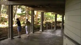 Manatee Rescue, SeaWorld Orlando HD (1080p)