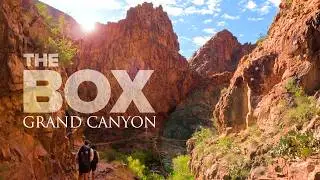 North Rim to Phantom Ranch | Night Hiking, Canyon Heat, and a Helicopter Drop 🚁 | R2R2R GC - 7/9