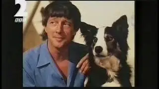 Fist of Fun trailer