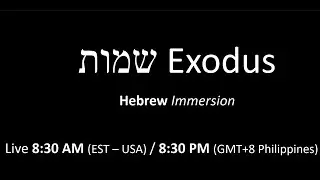 Biblical Hebrew immersion -  Hebrew Exodus 21.15-20 #biblicalhebrew