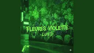 Fleures Violettes