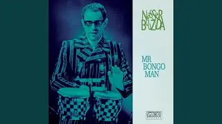 Mr Bongo Man