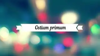 Ostium primum