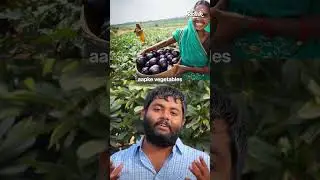 Vermicompost ki Market Demand &ndash; Ground Reality