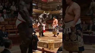 Bull sumo #ai #bull #sumo #japanese