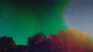 VISIBLE  TAIL  FROM  BLACK  BODY  /  CLOUD  STRUCTURE  /  EGG  SAC  -  November 9, 2021