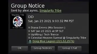 Singularity Tribe 1-23-21 Diana Emms - Second Life 2021