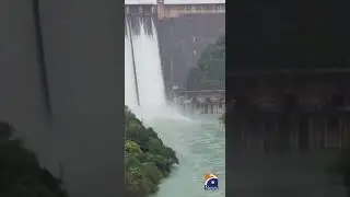 India Opens Spillways Of Bhakra Dam Following Salal Dam Release #shorts