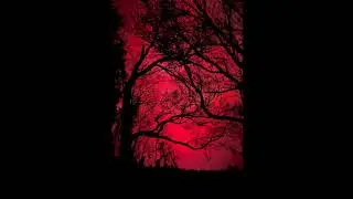 PHONK X MEMPHIS TYPE BEAT '
