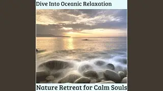 Soft Rain Water Sound