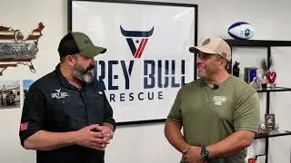 Grey Bull Rescue - Palm Harbor Hero Fest
