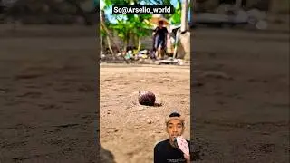 berbagi makanan hewan unik😱‼️ &lrm;⁨Arselio_world⁩&nbsp;