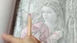 Coloring fabrics... the 12 Dancing Princesses coloring book
