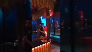 Don The Beachcomber - Madeira Beach, FL