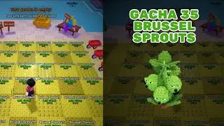 GACHA 35 BRUSSEL SPROUTS SEEDS #plantvsbrainrot #roblox