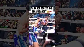 Tank got BUZZED😳🥊 #boxing #gervontadavis #tankdavis #knockout #boxinghighlights