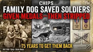 The Family Dog Who Saved Soldiers&mdash;Then Lost His Medals for 75 Years