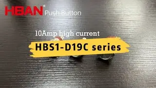 The Ultimate Guide to 19MM 10A push button switches - Installation and Functionality Explained