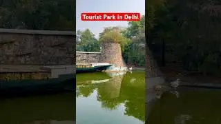 Buddha garden 2025 / buddha jayanti park in Delhi information