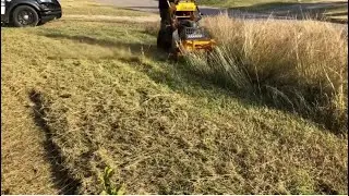 Free lawn cleanup for disabled elderly woman