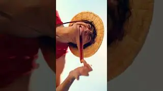 One Piece: The Ultimate Series Overview