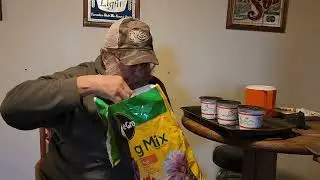 planting onion seeds in january