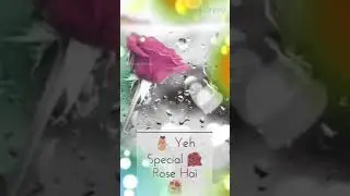 Best saaz of the world
