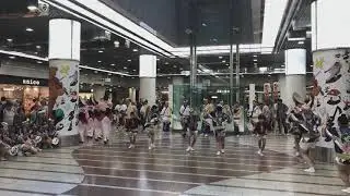 Awa odori festival Japanese dance festival