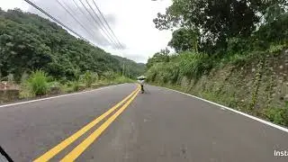 RoadTraveler - 鄉間