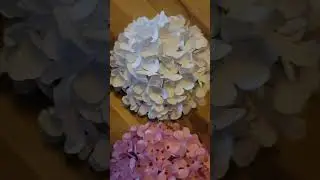 Launching on July 11th, Paper Floral Kits. Kits are $14.00. In my online store, DIY Unique Items