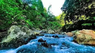 Relaxing River Sounds|Water White Noise For Sleep Or Relax |ASMR River Sounds Nature Zaman