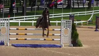 Video of SNIPER ridden by VICTORIA ZELCH from ShowNet!