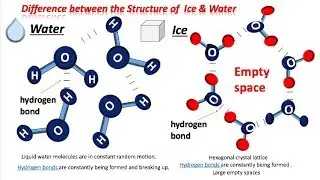 Difference between |3D Hexagonal Structure of Ice and Water(in Urdu/ Hindi) |Why ice floats on water